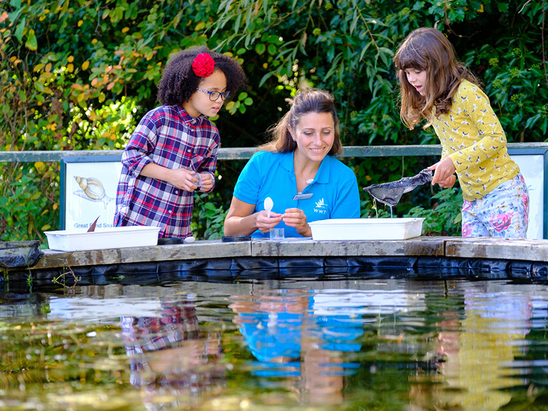 WWT Slimbridge volunteers
