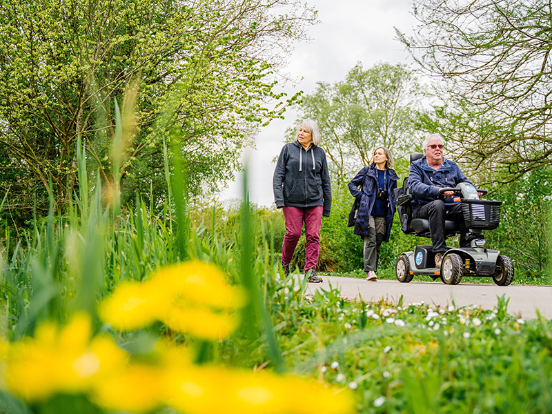 Wheelchair access at WWT Slimbridge