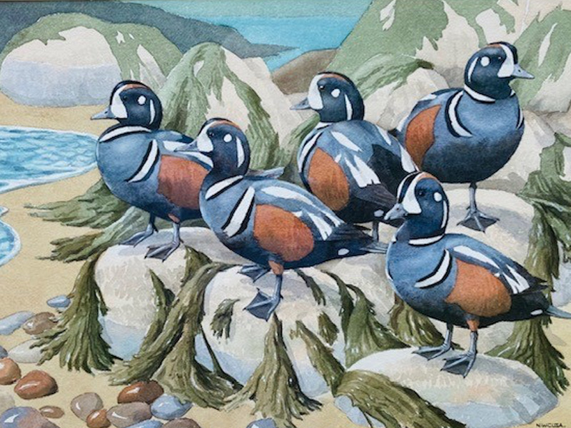 Nature in Art ducks