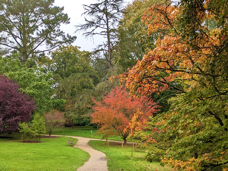 Autumn at Batsford Arboretum
