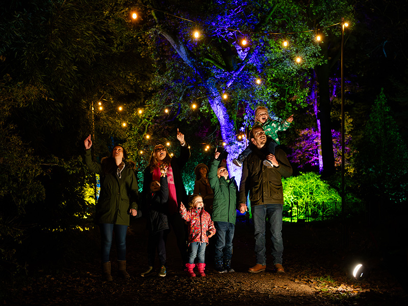 Enchanted Christmas, Westonbirt Arboretum