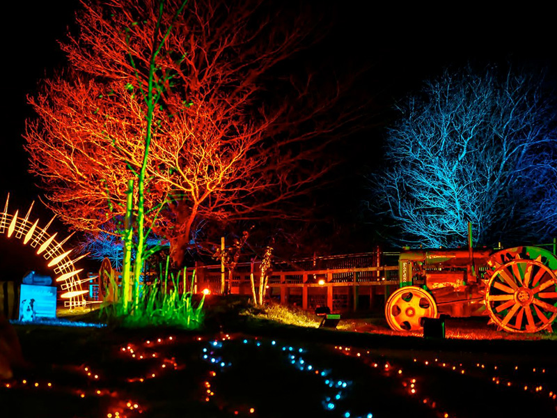 Enchanted Light Trail at Cotswold Farm Park