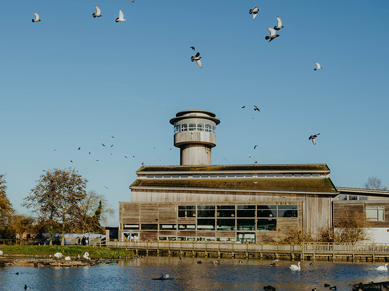 WWT Slimbridge Wetland Centre Observation Tower