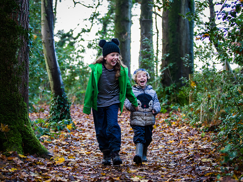 Westonbirt Winter