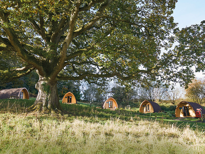 Mega Pods at Whitemead - Forest of Dean