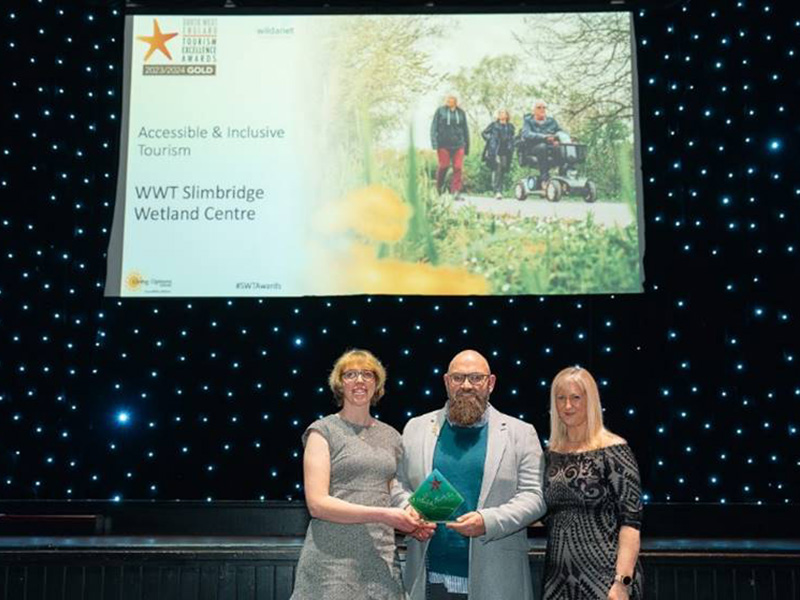 WWT Slimbridge award