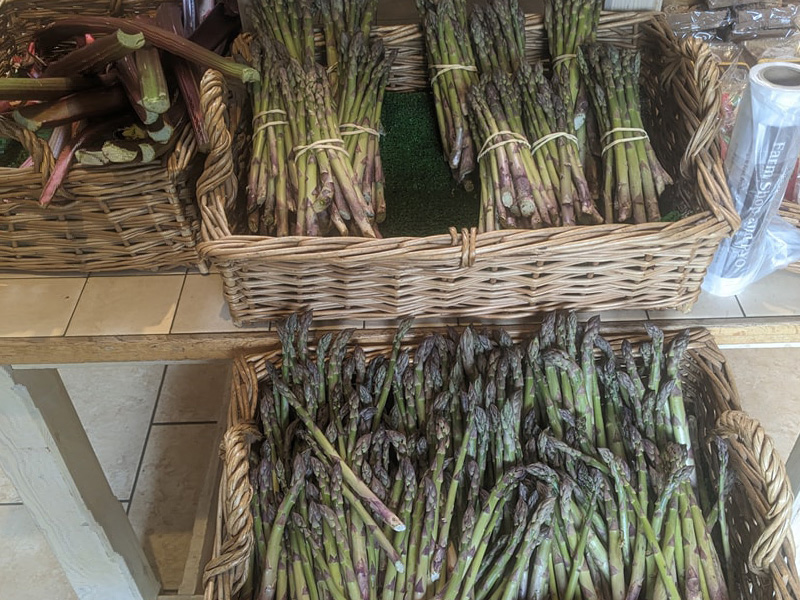 Asparagus at Primrose Vale