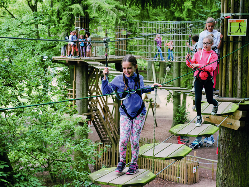 Go Ape Junior Forest of Dean