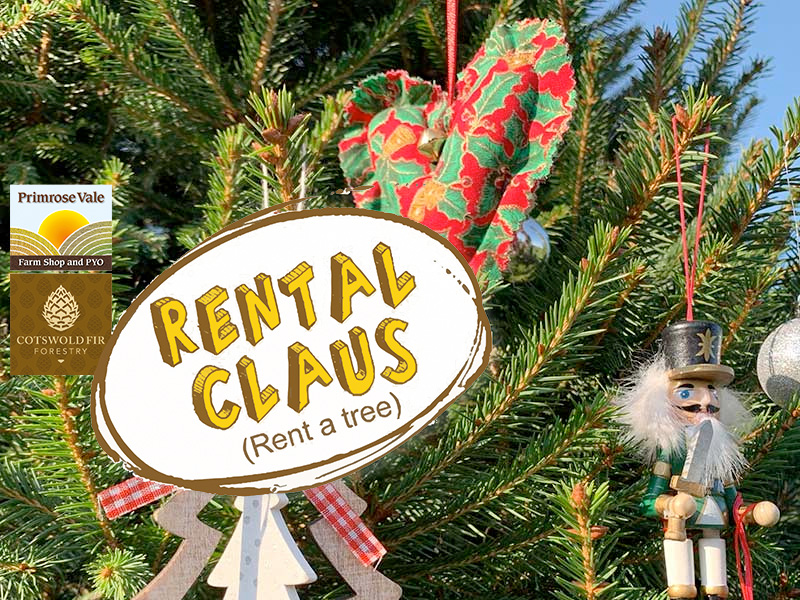 Primrose Vale Christmas Trees