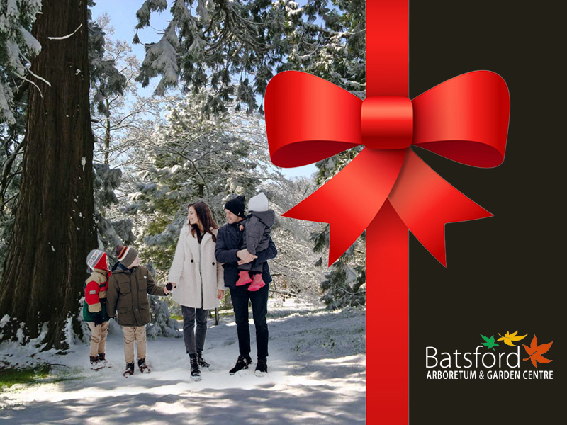 Unique Christmas Gifts in Gloucestershire – Batsford Arboretum Membership