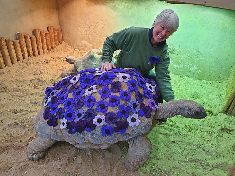 Cotswold Wildlife Park Marks International War Animal Day with Purple Poppies