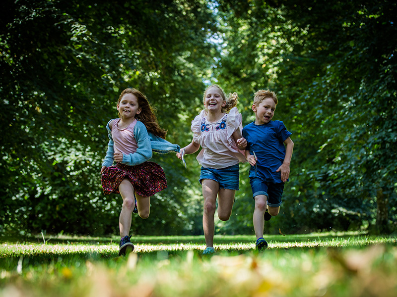 Spring blossom at Westonbirt Arboretum