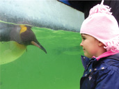 Birdland Park & Gardens