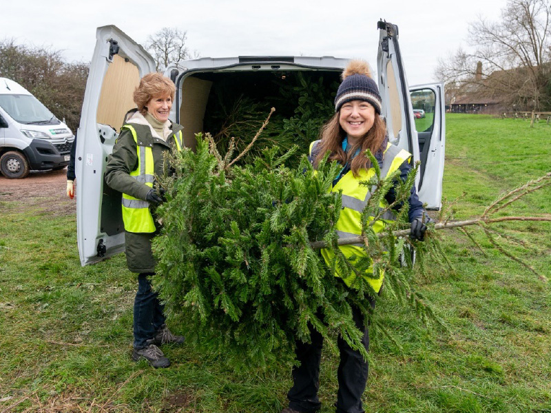Longfield Hospice Christmas Tree Collection in Gloucestershire