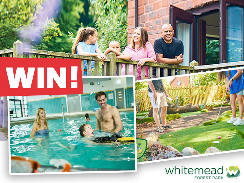 Whitemead Forest Park Gloucestershire