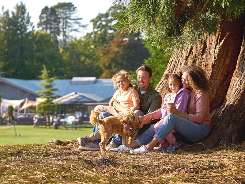Whitemead Forest Park Families