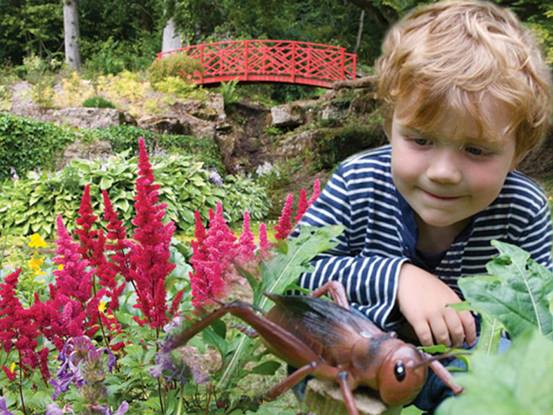 Spring at Batsford Arboretum