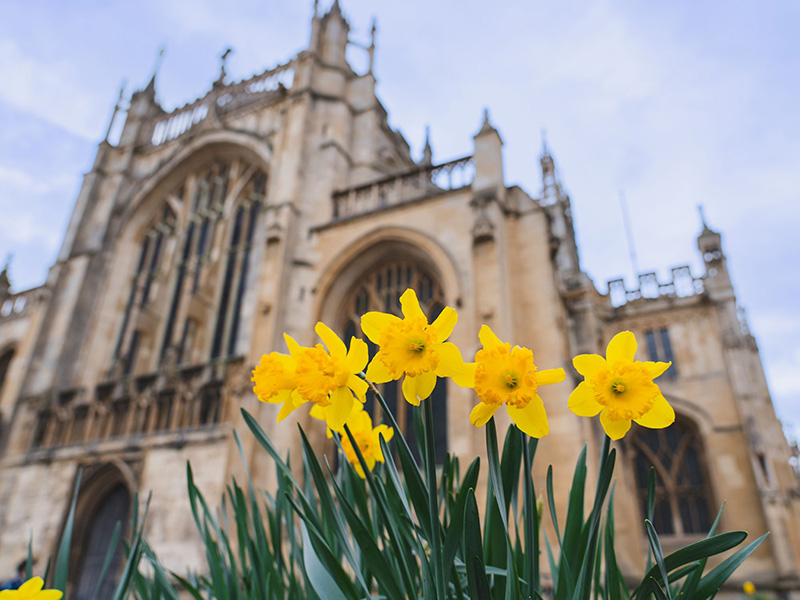 Easter at Gloucester Cathedral Daffodils