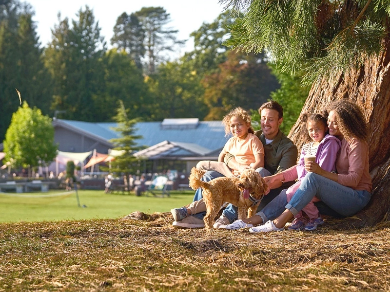 Whitmead cabins Forest of Dean