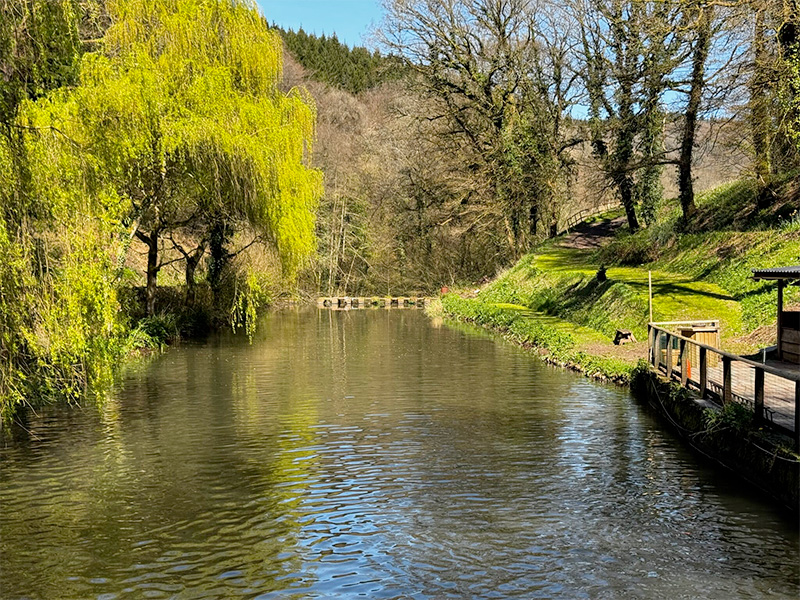 Fly Fishing at Raven's Nest with Forest Adventure