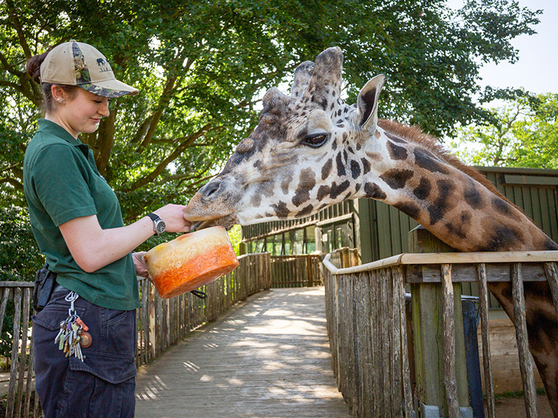 Cotswold Wildlife Park Summer Days