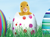 Easter School Activities in Gloucestershire