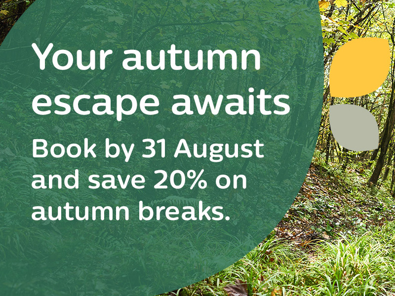 Autumn offers at Whitemead in the Forest of Dean 2026