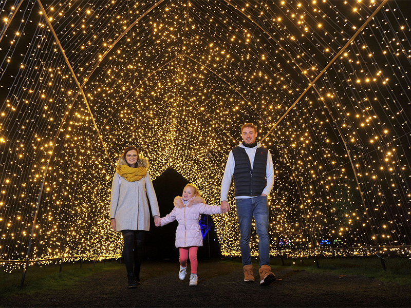 Winter Glow 2026