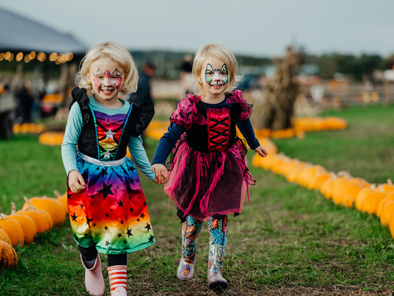 Over Farm Spookyard 2026