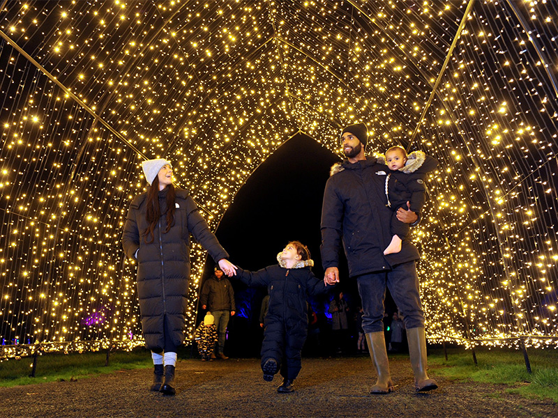 Winter Glow 2026