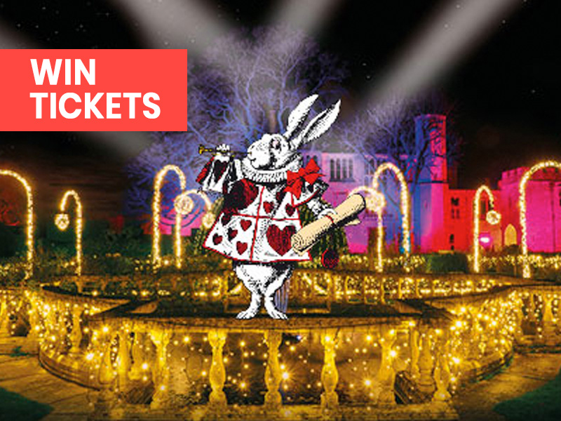 Spectacle of Light at Sudeley Castle
