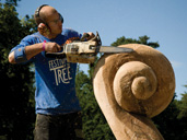 Festival of the Tree at Westonbirt Arboretum