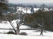 Enter your winter snaps of Gloucestershire for your chance to win £250 Jessops vouchers!