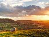 2010 'Gloucestershire at its Best' Photography Competition