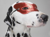 Explore Gloucestershire offers & promotions