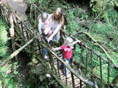 2 for 1 entry at Puzzlewood in the Forest of Dean