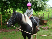 New Pony Rides at Puzzlewood