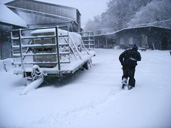 Snow in Gloucestershire