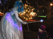 The Magic of Westonbirt this Christmas