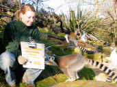 The BIG animal count at Cotswold Wildlife Park