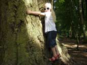 Westonbirt Arboretum