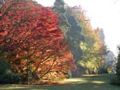 Westonbirt Arboretum