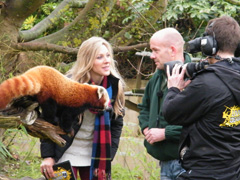 Live 'n' Deadly live from Cotswold Wildlife Park