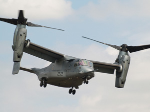 Rare Osprey to swoop at the Air Tattoo this summer 2012