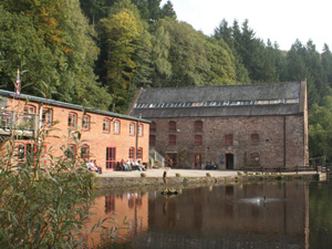 ‘Forest Reflections’ at the Dean Heritage Centre