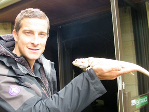 Bear Grylls opens new enclosure at Cotswold Wildlife Park