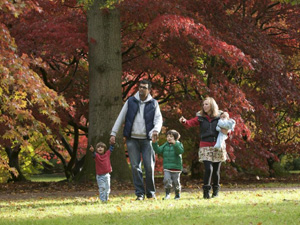 Events at Westonbirt Arboretum