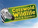 BUY ONLINE & save up to £1.50 per ticket