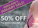 50% Off Admission Tickets This Winter