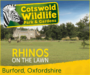 Things to do in the Cotswold Wildlife Park days  out in the Cotswolds